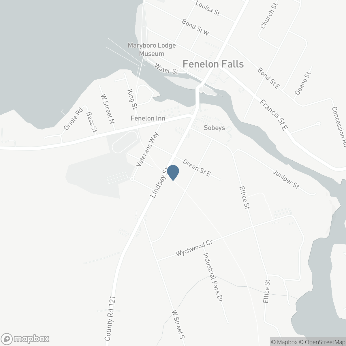 99 LINDSAY STREET, Fenelon Falls, Ontario K0M 1N0